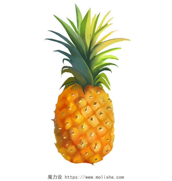手绘卡通水果菠萝系列插图元素